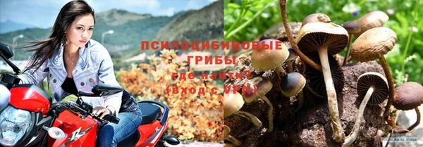 соль ск Арсеньев
