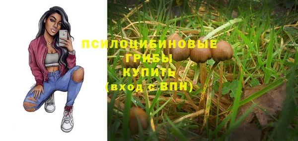 тгк Аркадак