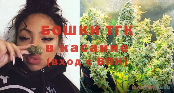тгк Аркадак