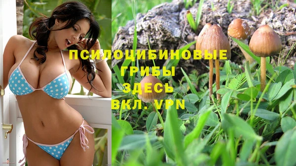 соль ск Арсеньев